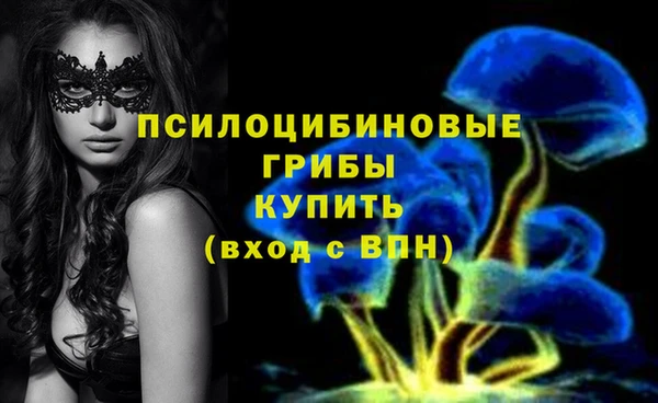 стафф Зеленокумск